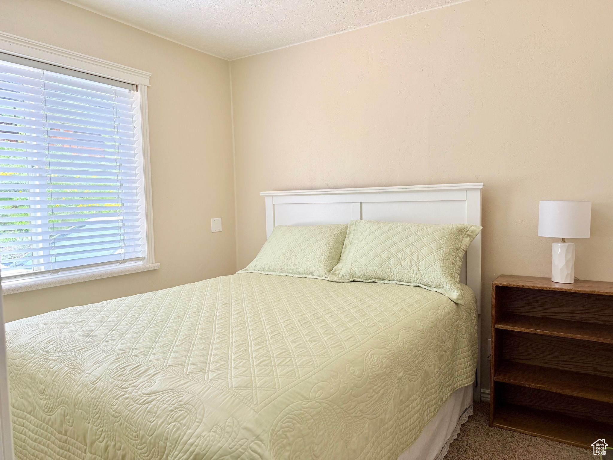 374 Cold Springs Dr, Fish Haven, Idaho image 24