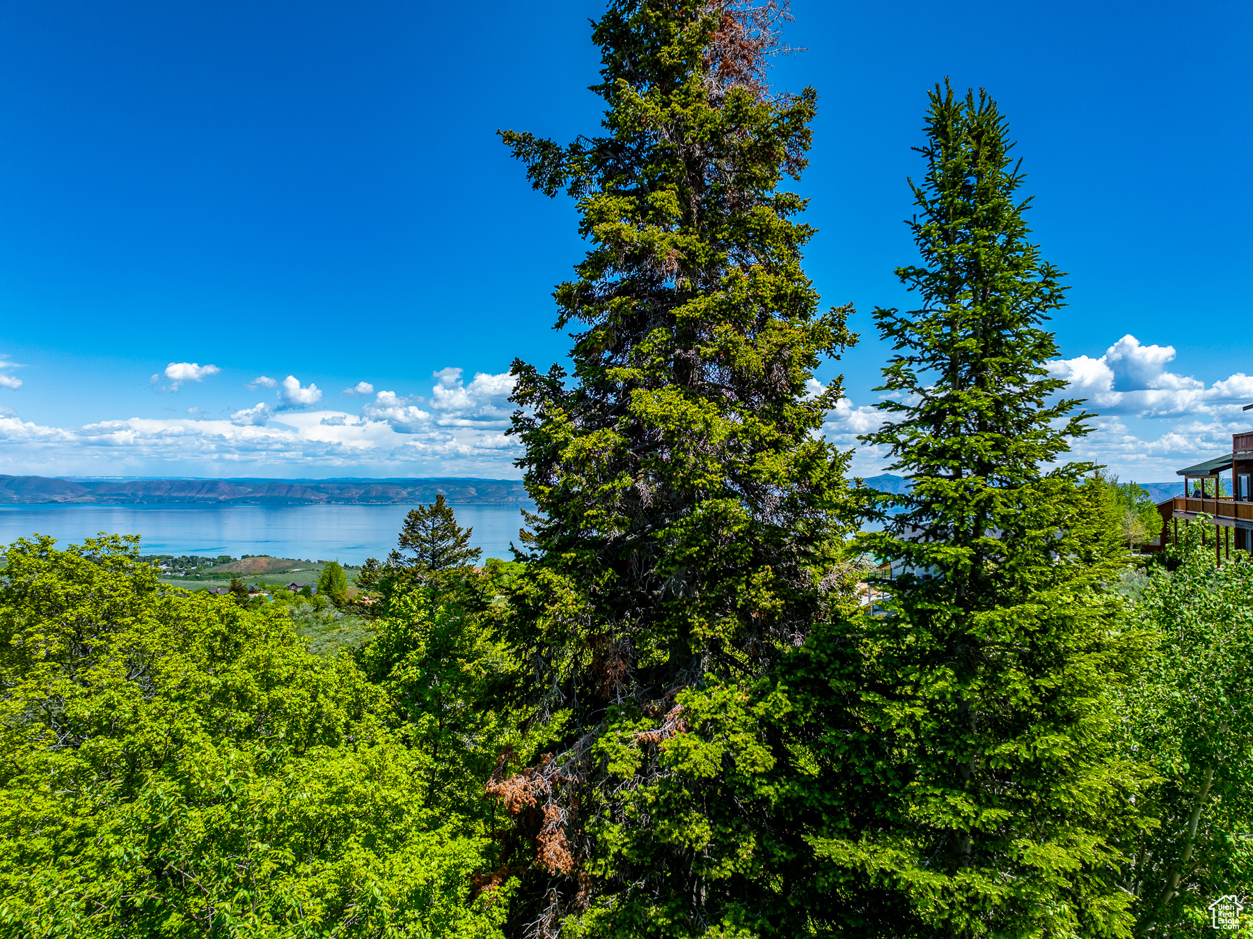 374 Cold Springs Dr, Fish Haven, Idaho image 9