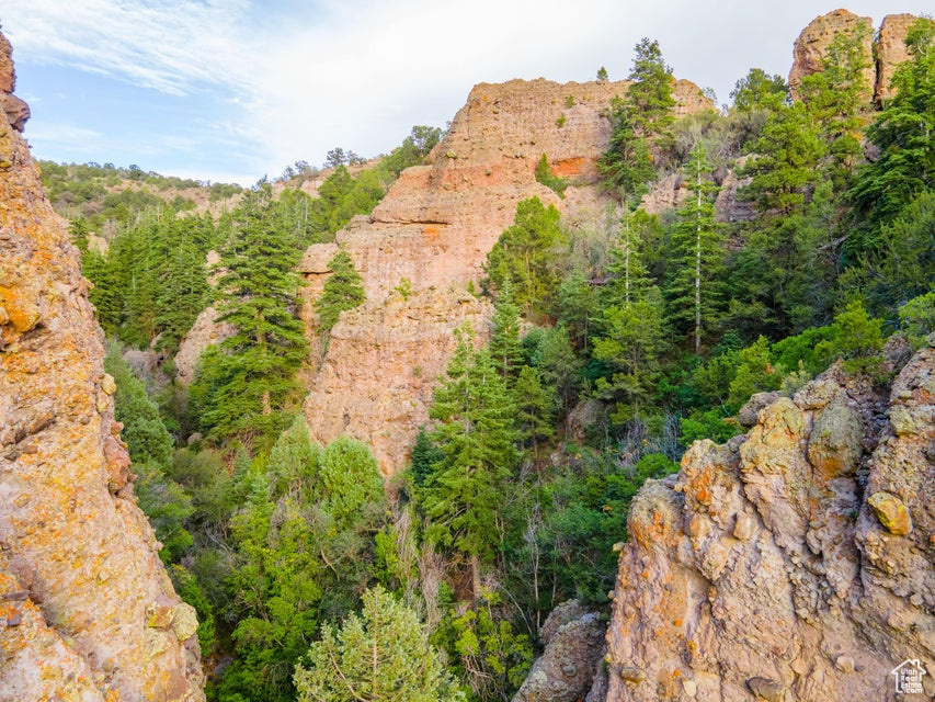 Land, Beaver, Utah image 16