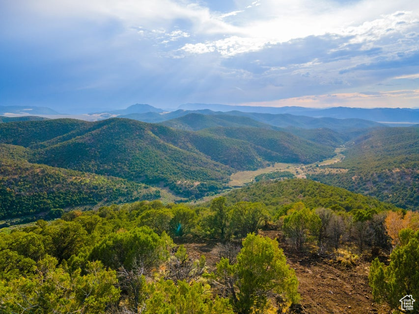 Land, Beaver, Utah image 13