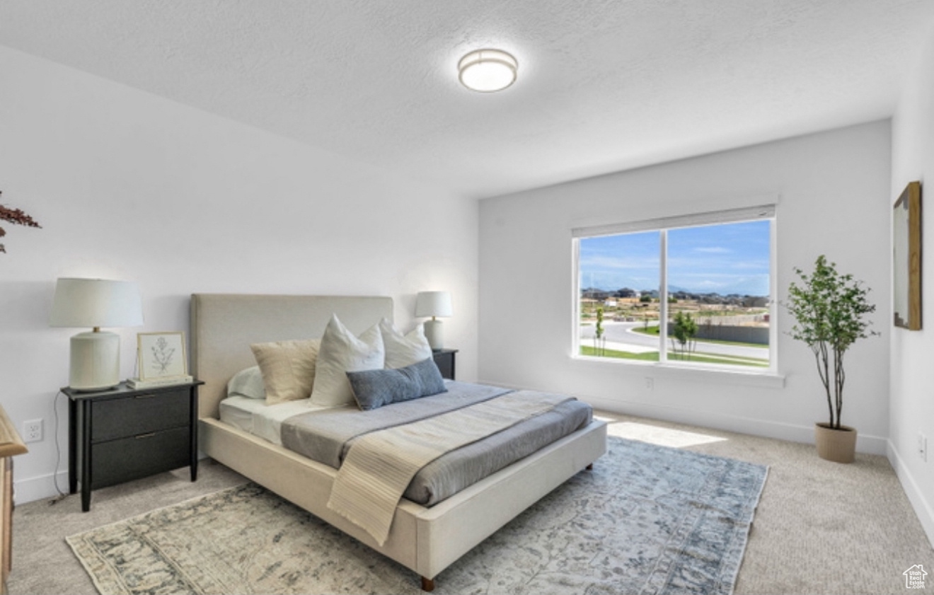 1384 N 1780, Spanish Fork, Utah image 5