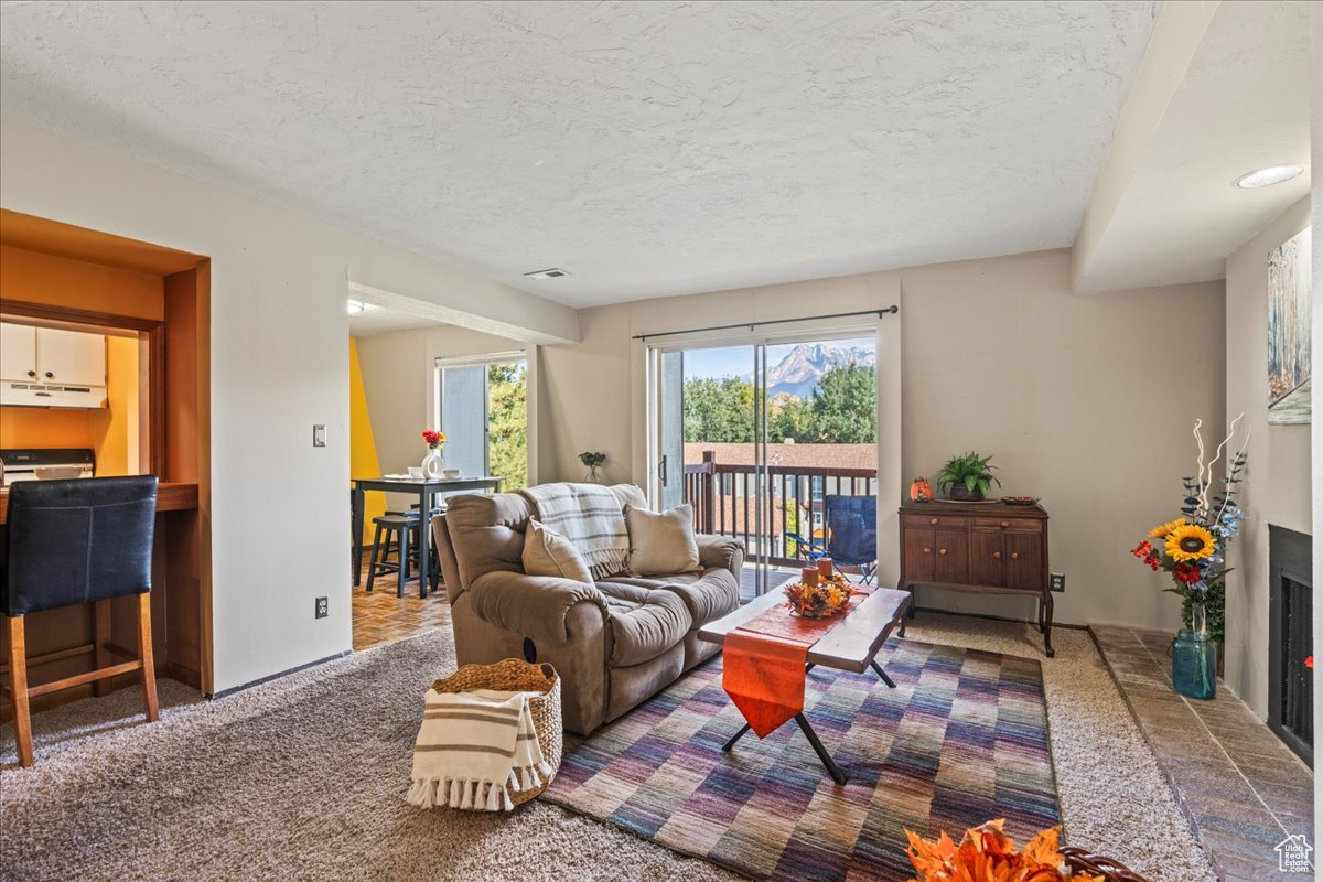 WILLOWS CONDM - Residential