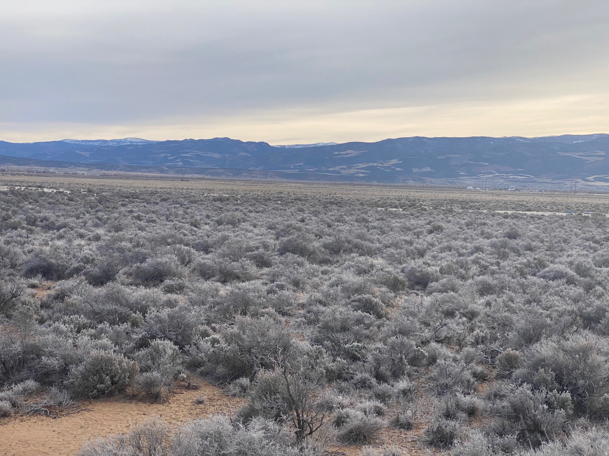 CEDAR VALLEY ACRES - Land