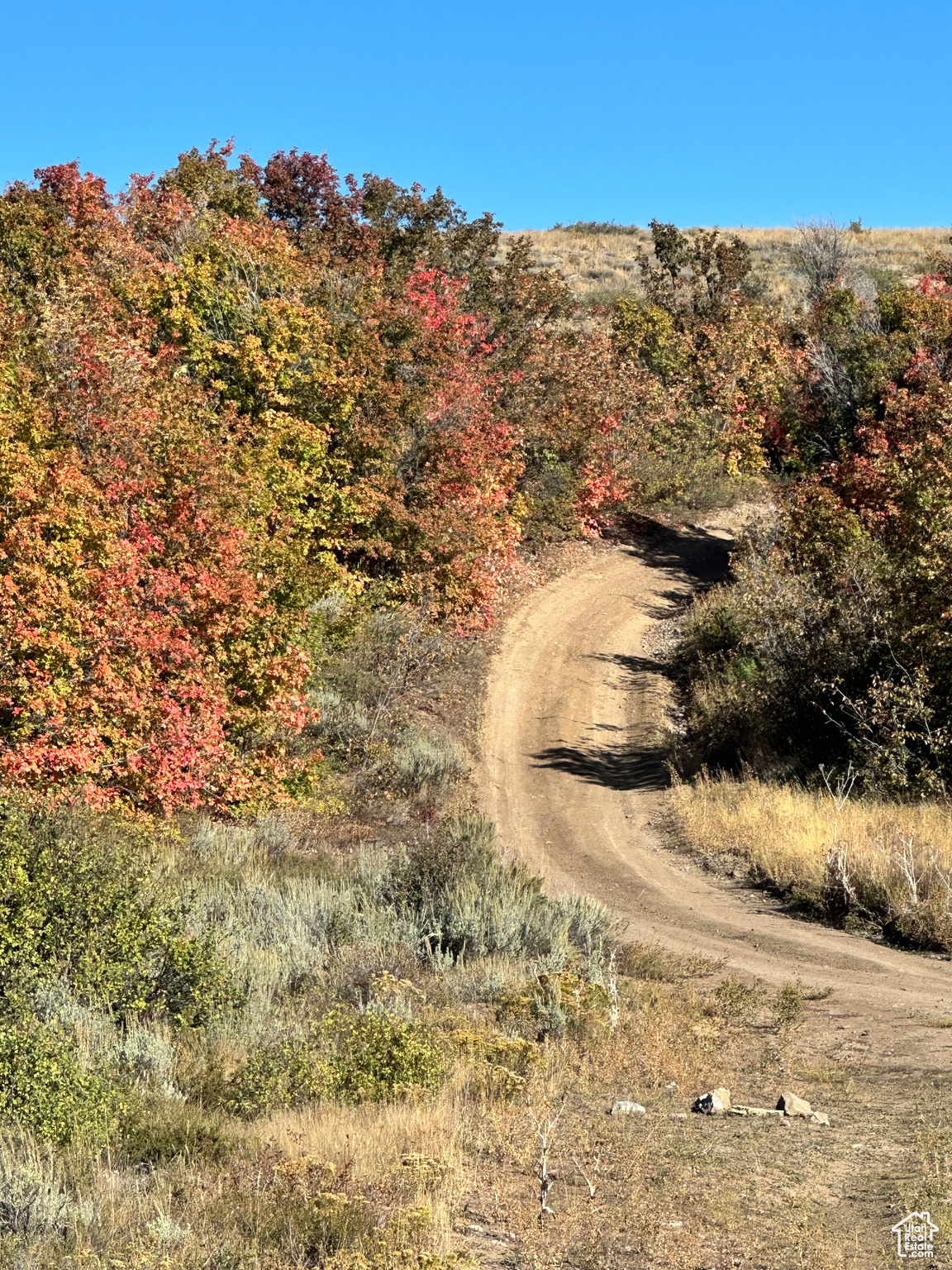 ELKS RIDGE SUB - Land