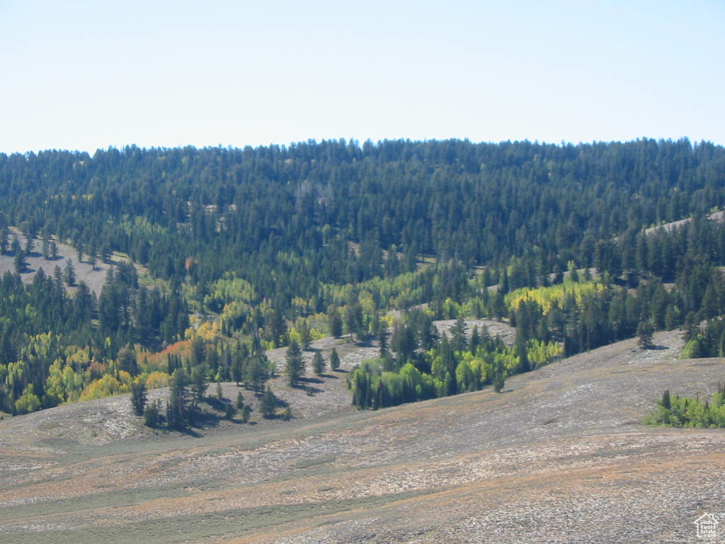 ELKS RIDGE SUB - Land