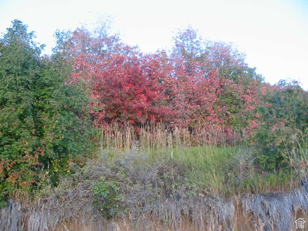 ELKS RIDGE SUB - Land