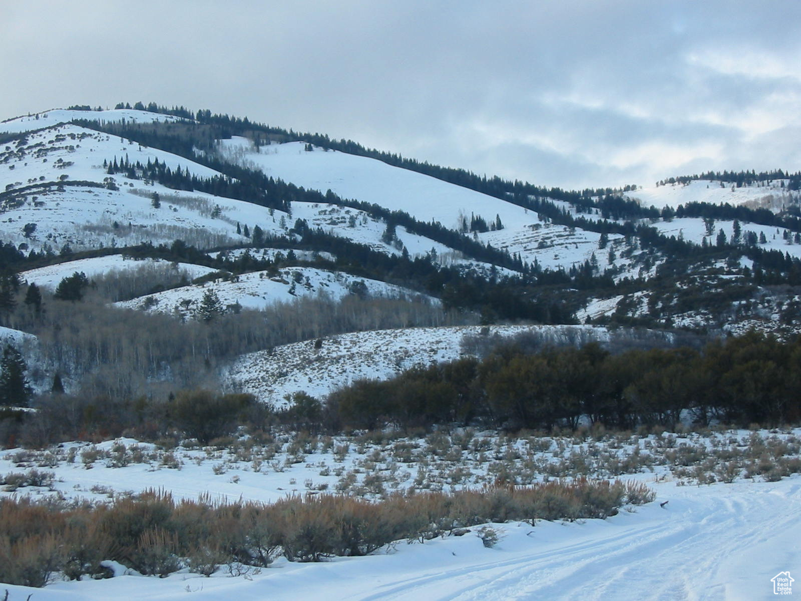 ELKS RIDGE SUB - Land