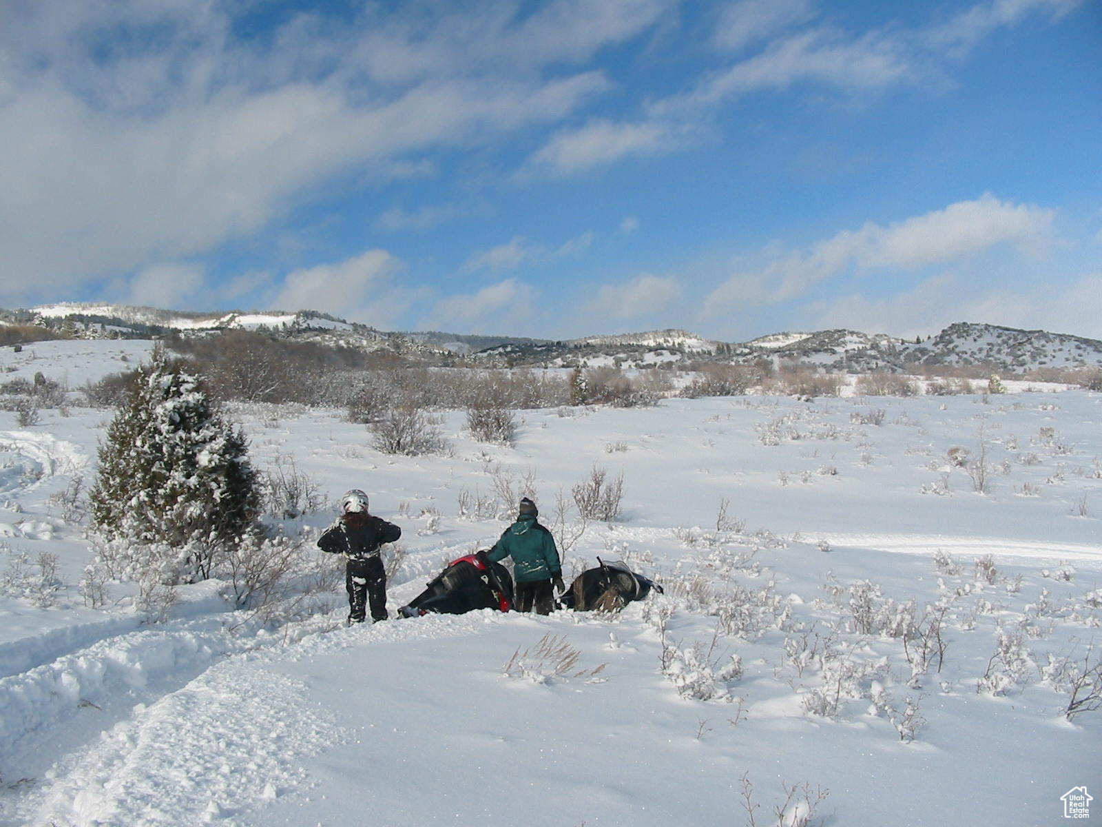 ELKS RIDGE SUB - Land