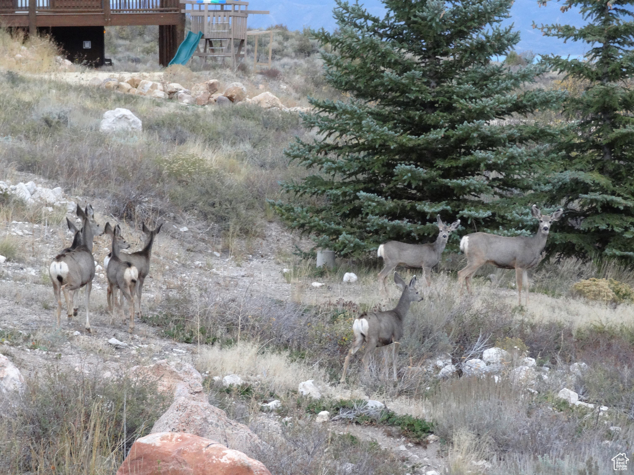 ELKS RIDGE SUB - Land