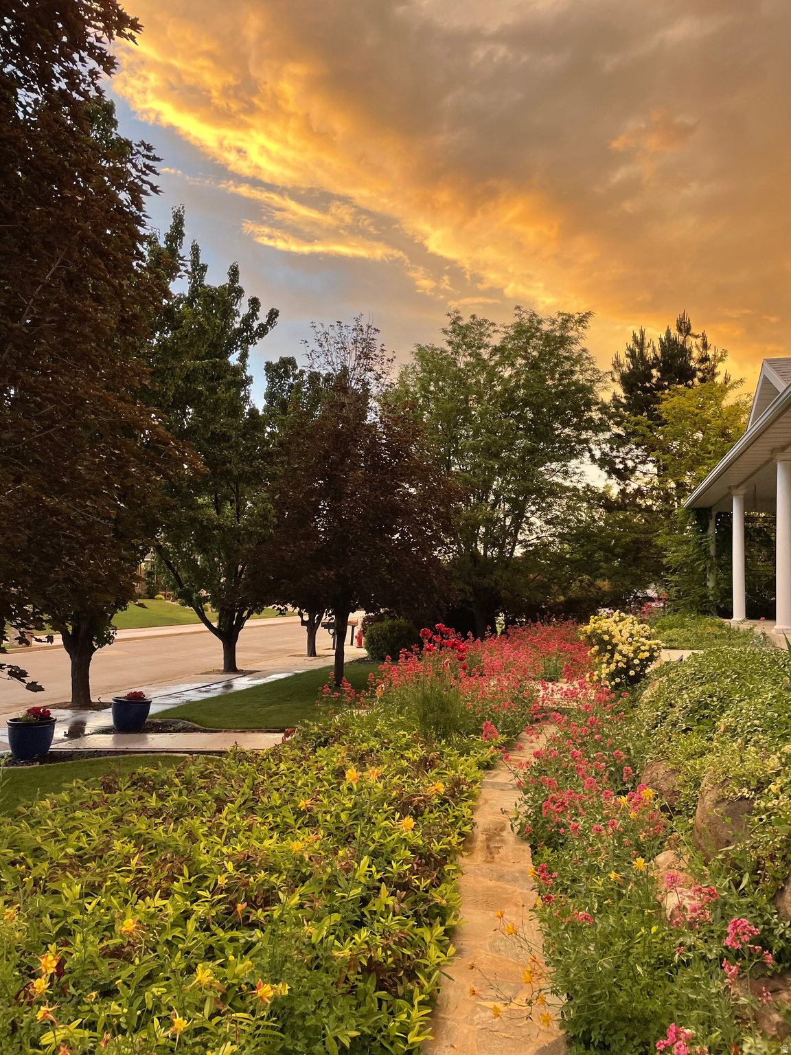 SOUTH JORDAN ESTATES - Residential