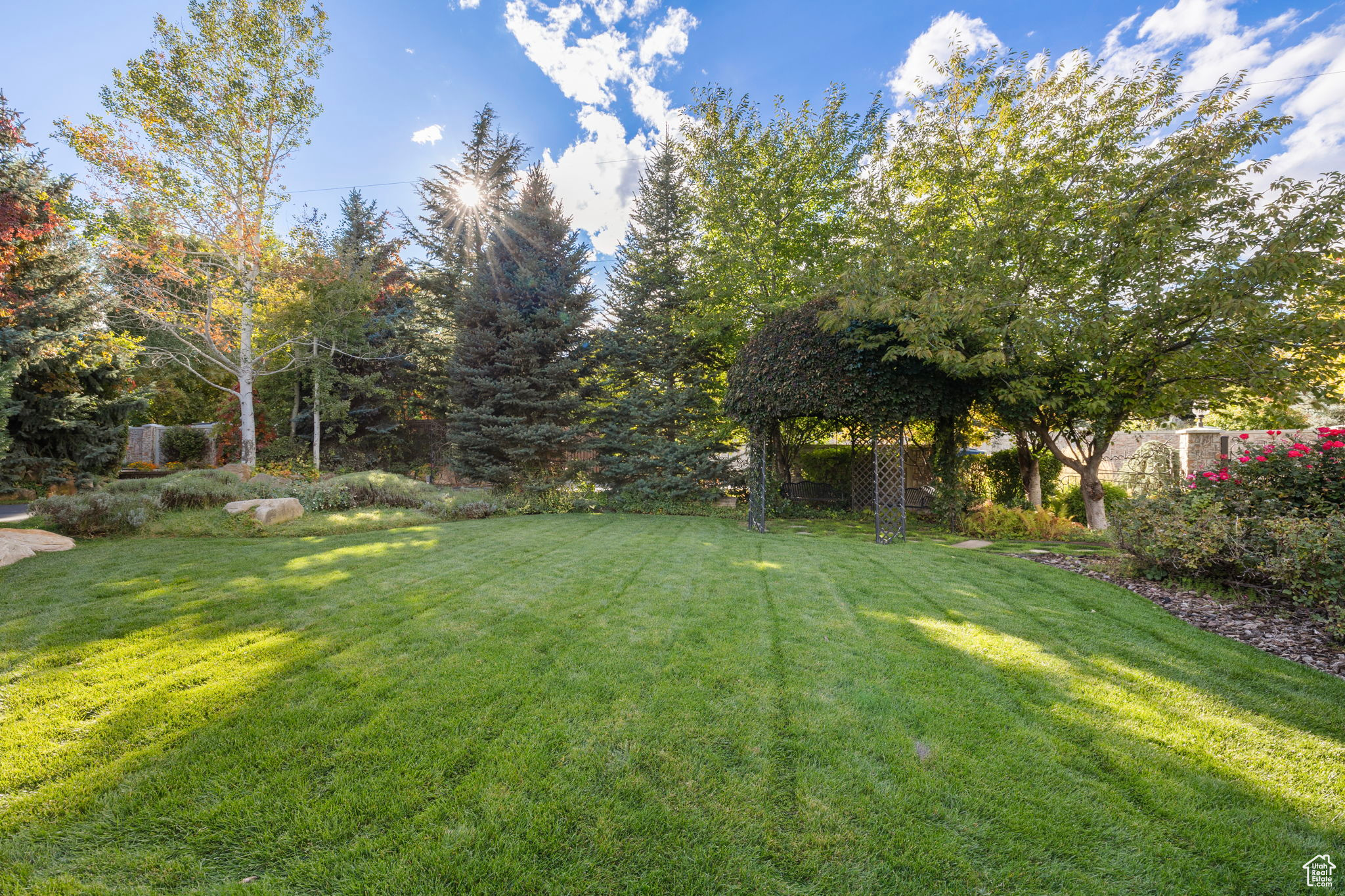 IVY GREEN LANE - Residential