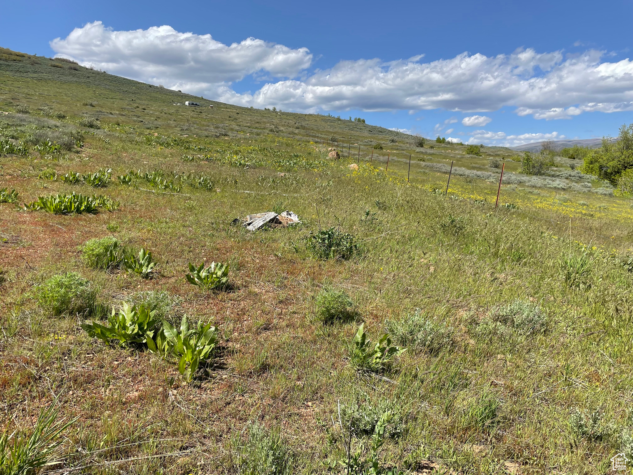 3348 N Water Cir #701, Huntsville, Utah image 8