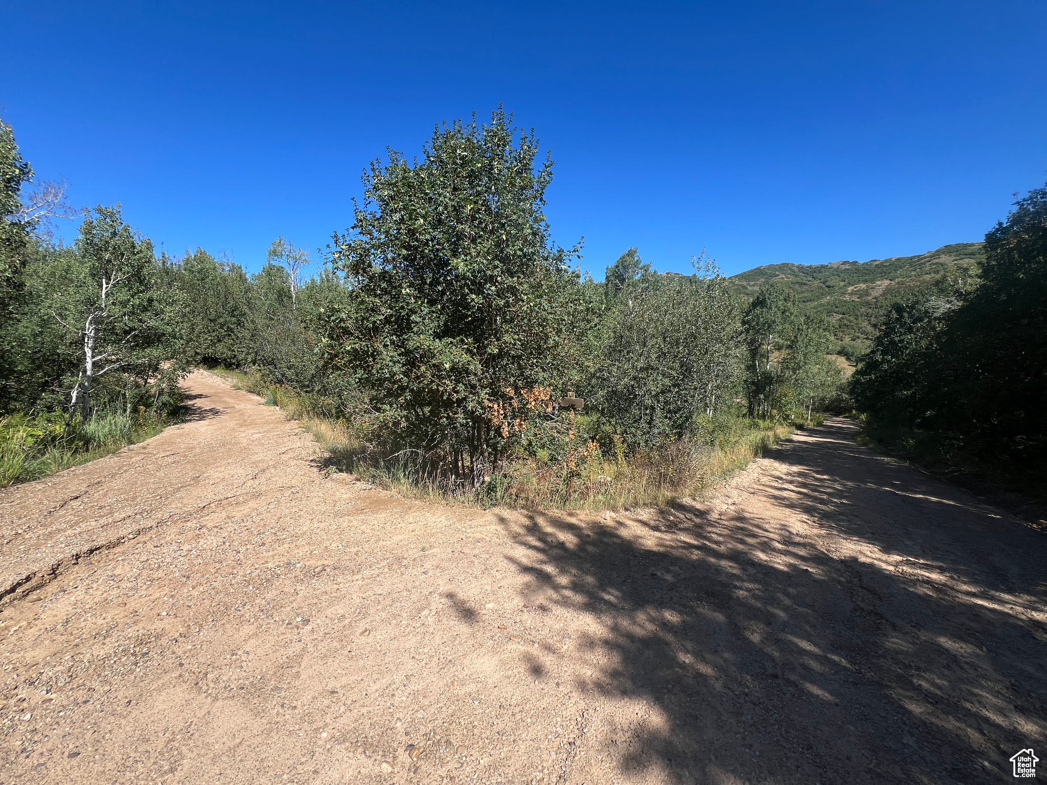 #18, Coalville, Utah image 21
