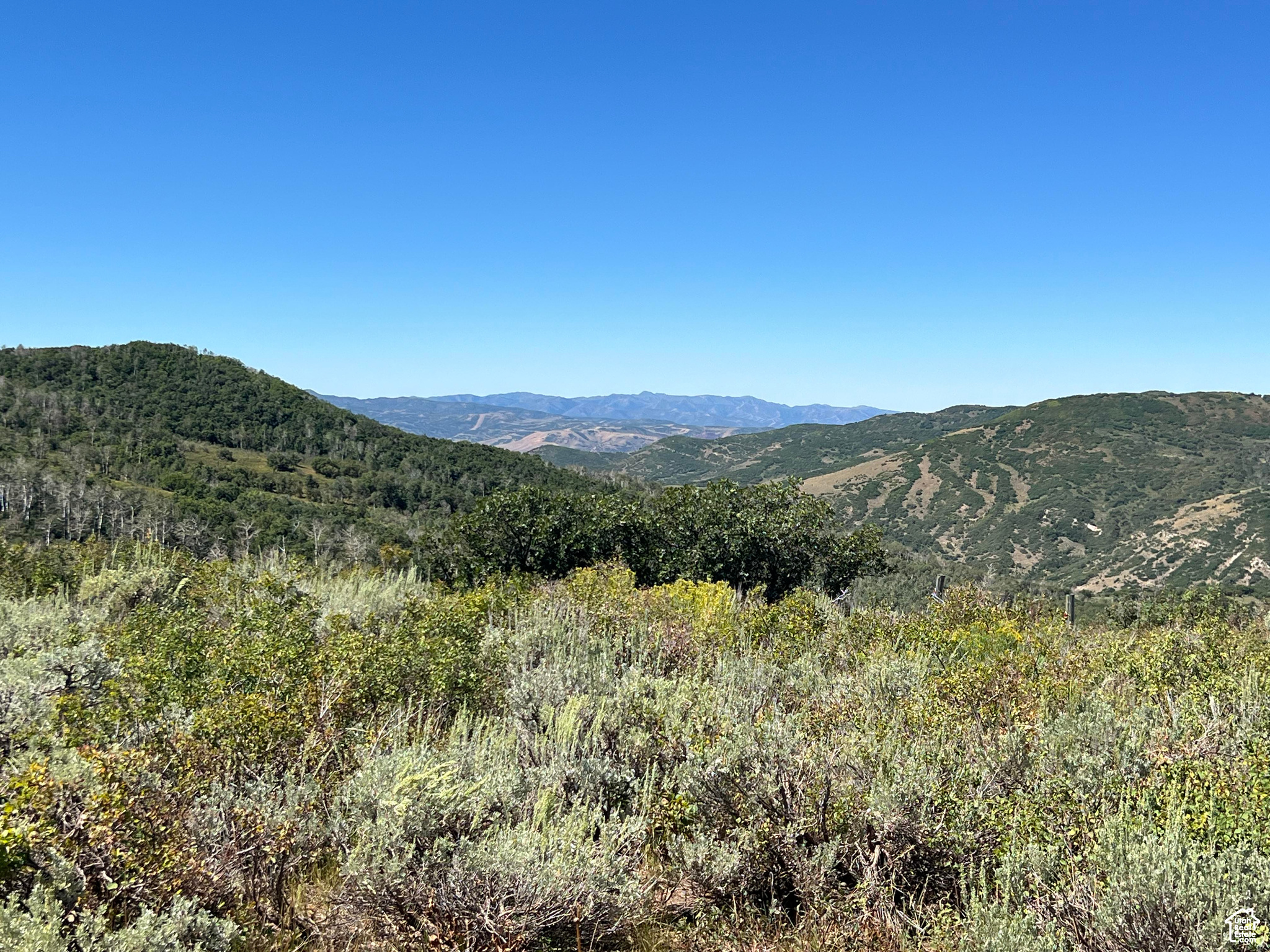 #18, Coalville, Utah image 29