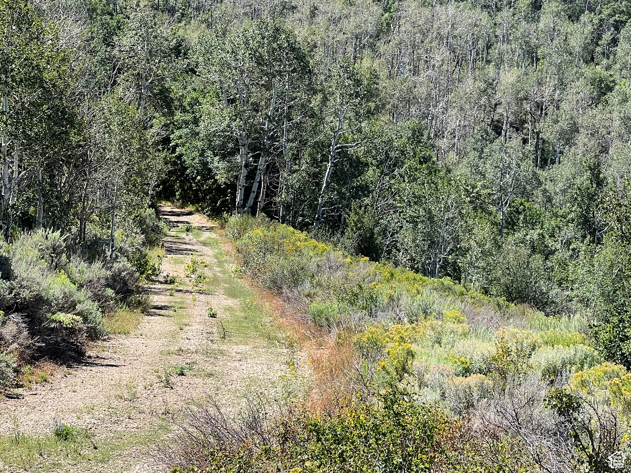 #18, Coalville, Utah image 6