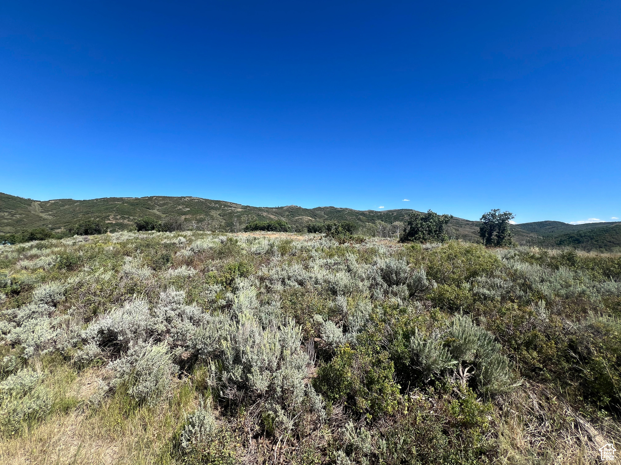 #18, Coalville, Utah image 5