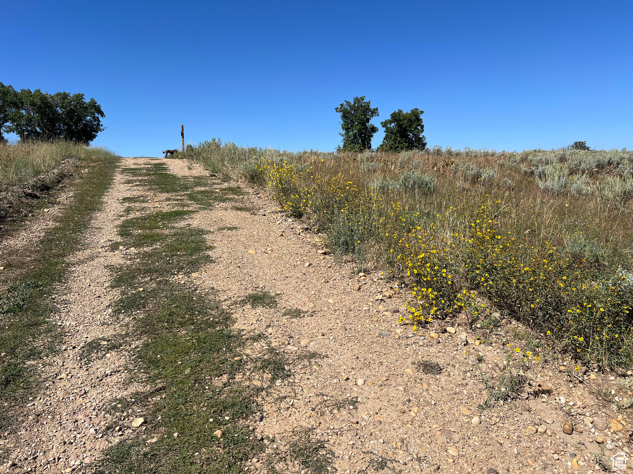 #18, Coalville, Utah image 12