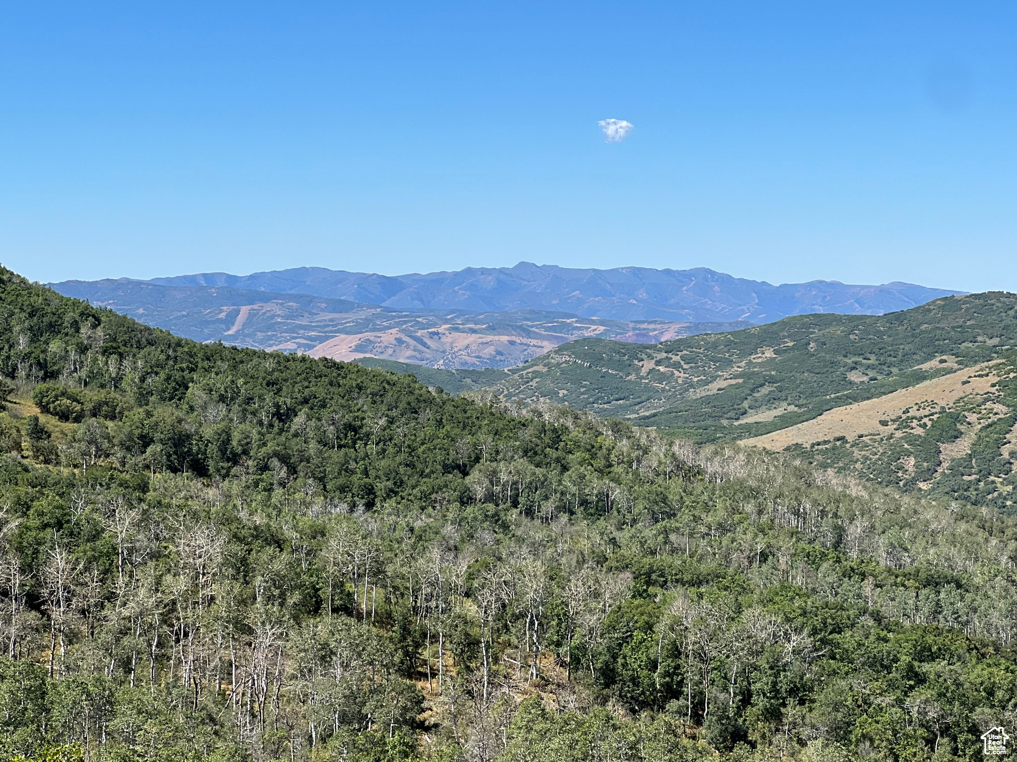 #18, Coalville, Utah image 15