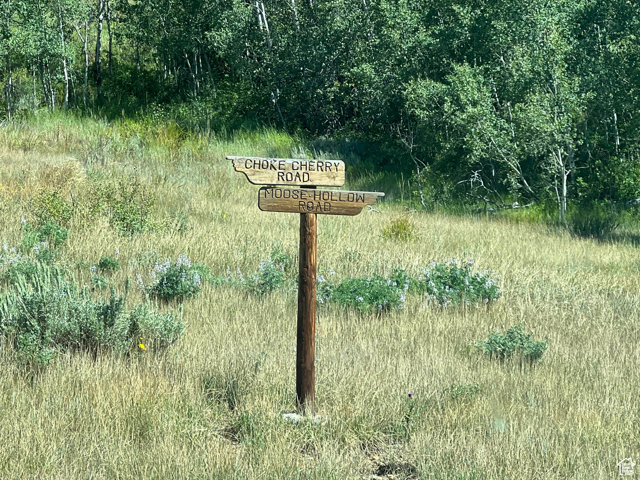 #18, Coalville, Utah image 13