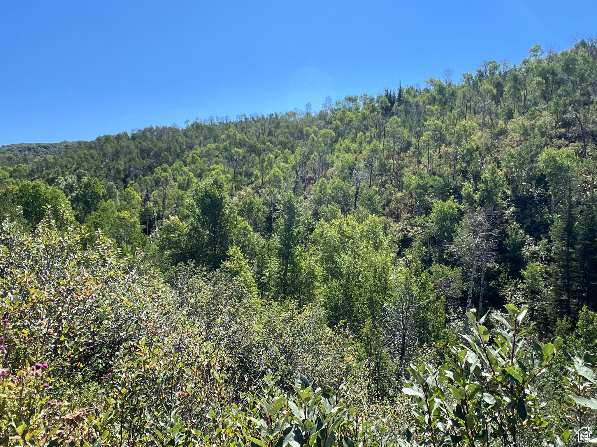 #18, Coalville, Utah image 17