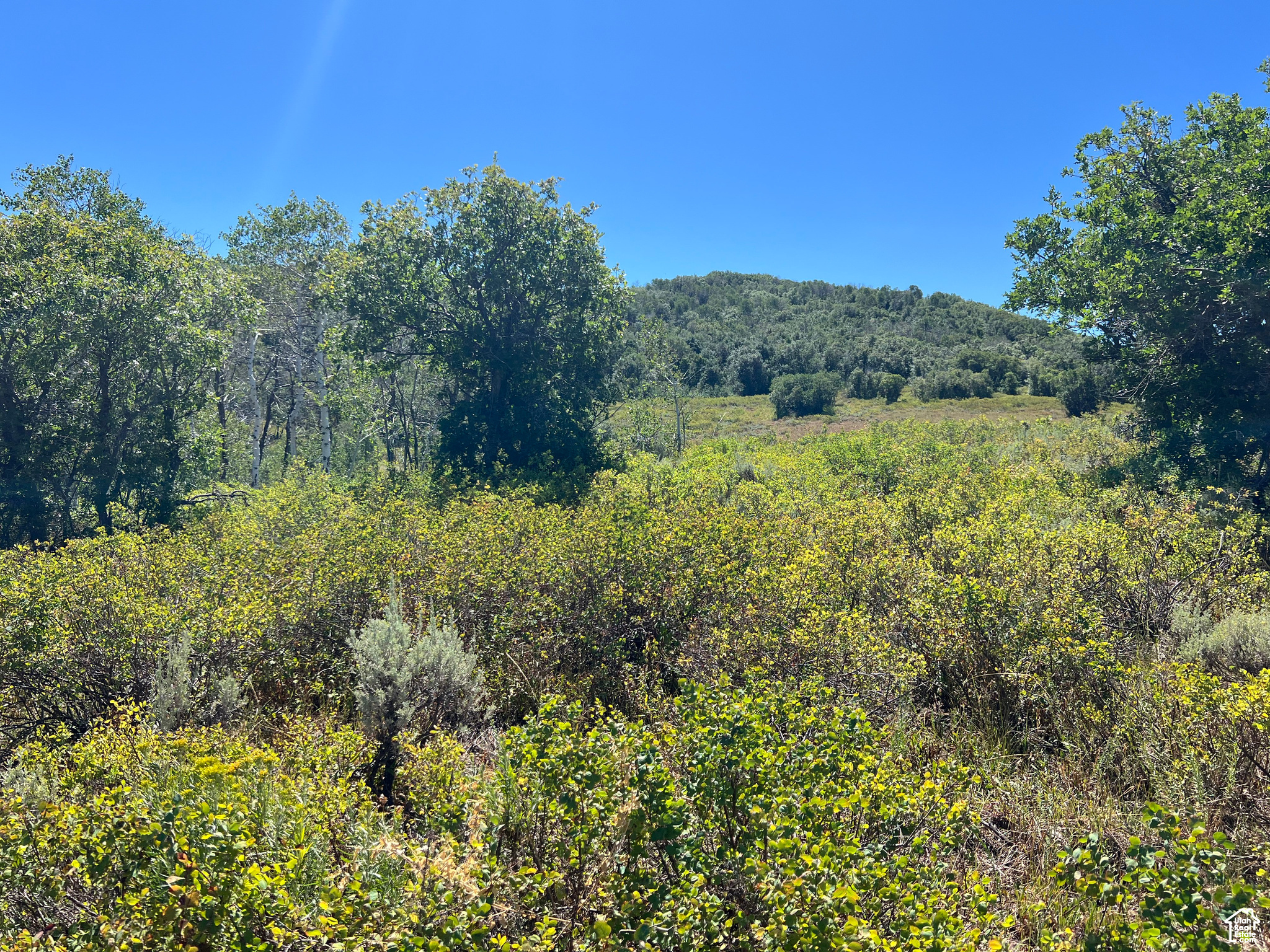 #18, Coalville, Utah image 32