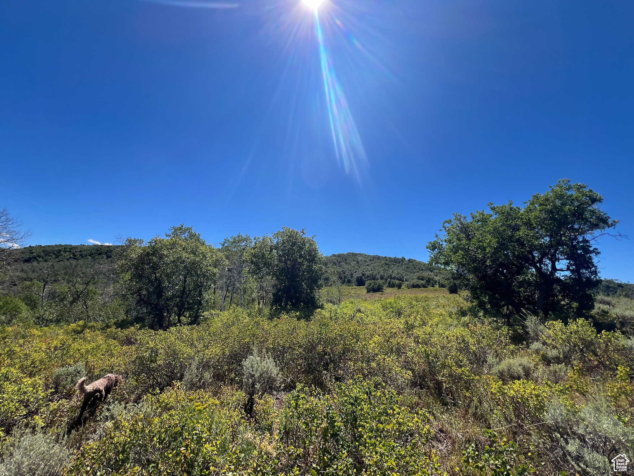 #18, Coalville, Utah image 31