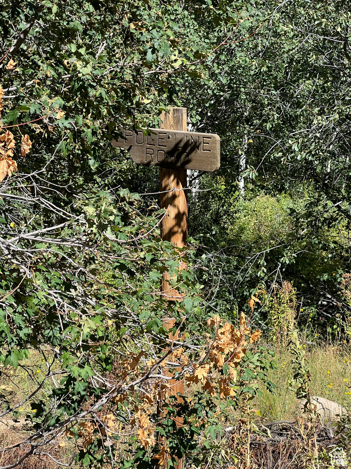 #18, Coalville, Utah image 20