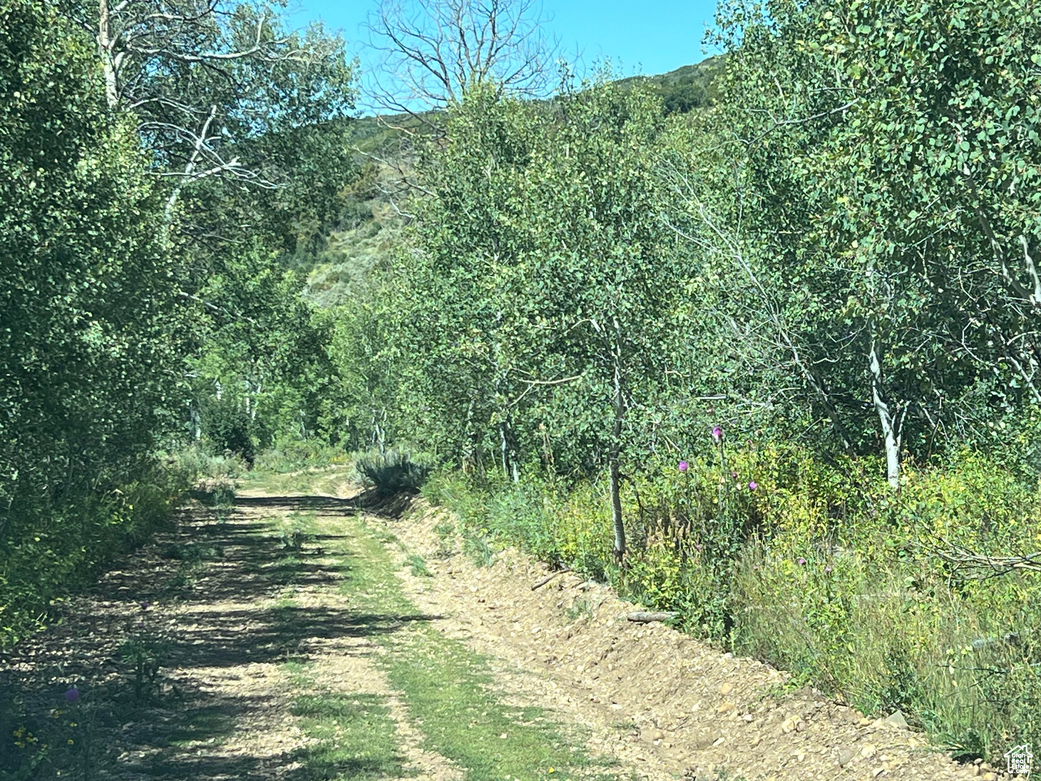 #18, Coalville, Utah image 14