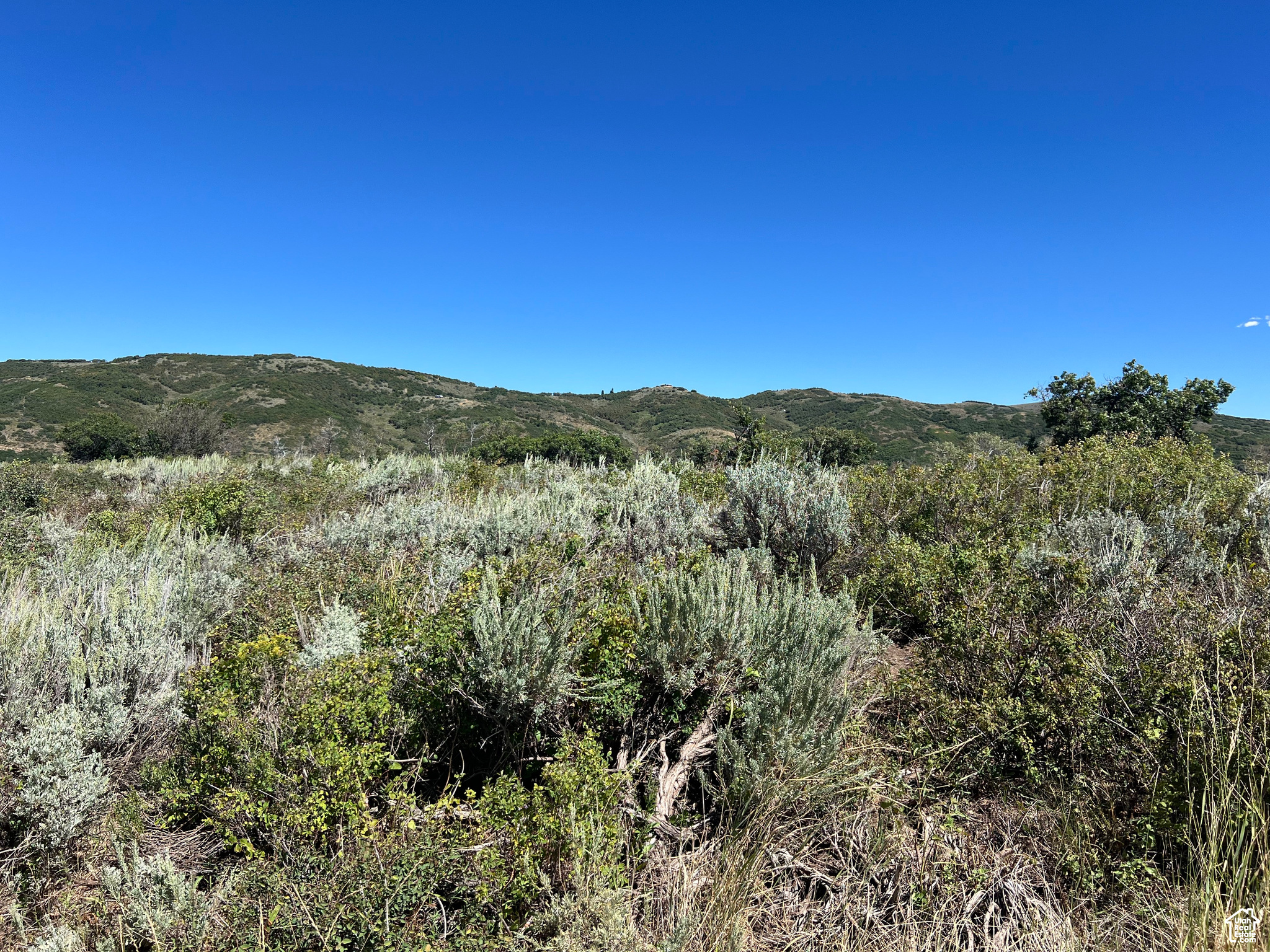 #18, Coalville, Utah image 9