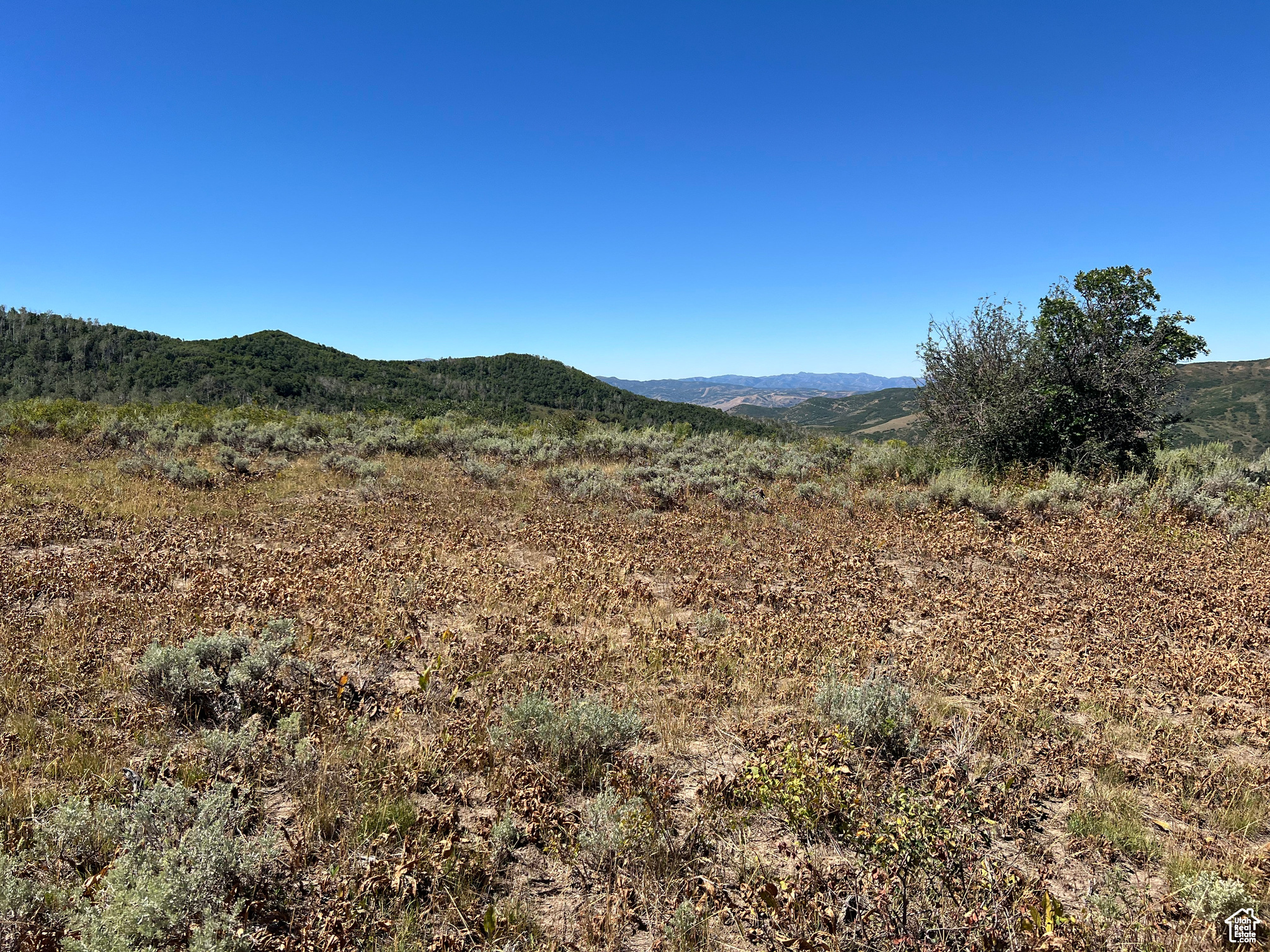 #18, Coalville, Utah image 8