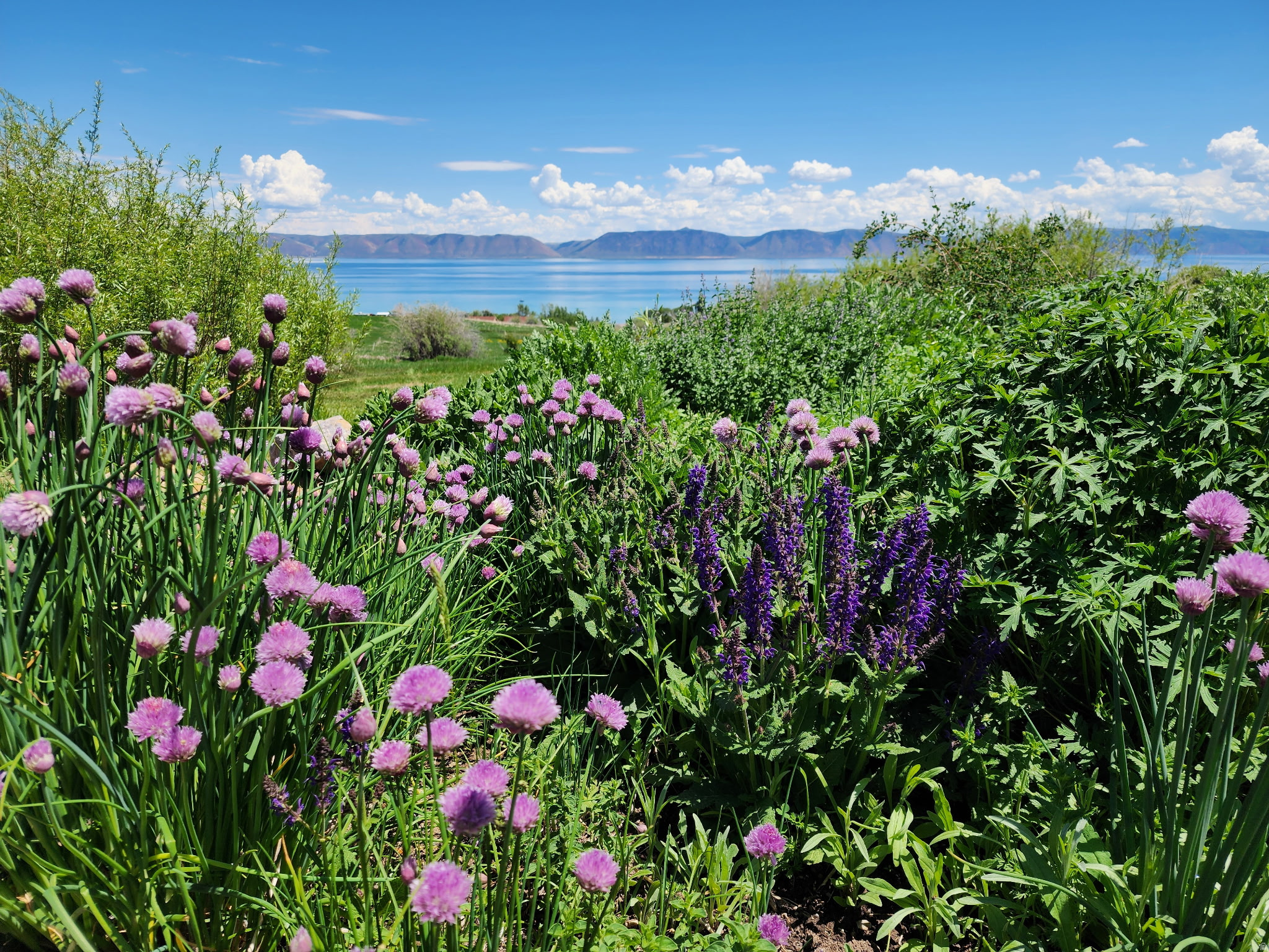 BEAR LAKE WEST LAKESIDE ESTATES #3 - Residential