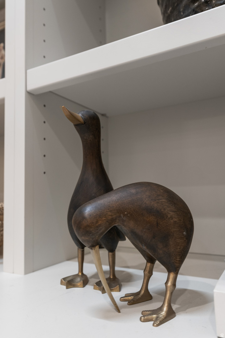 BRIO PH 3D - Residential