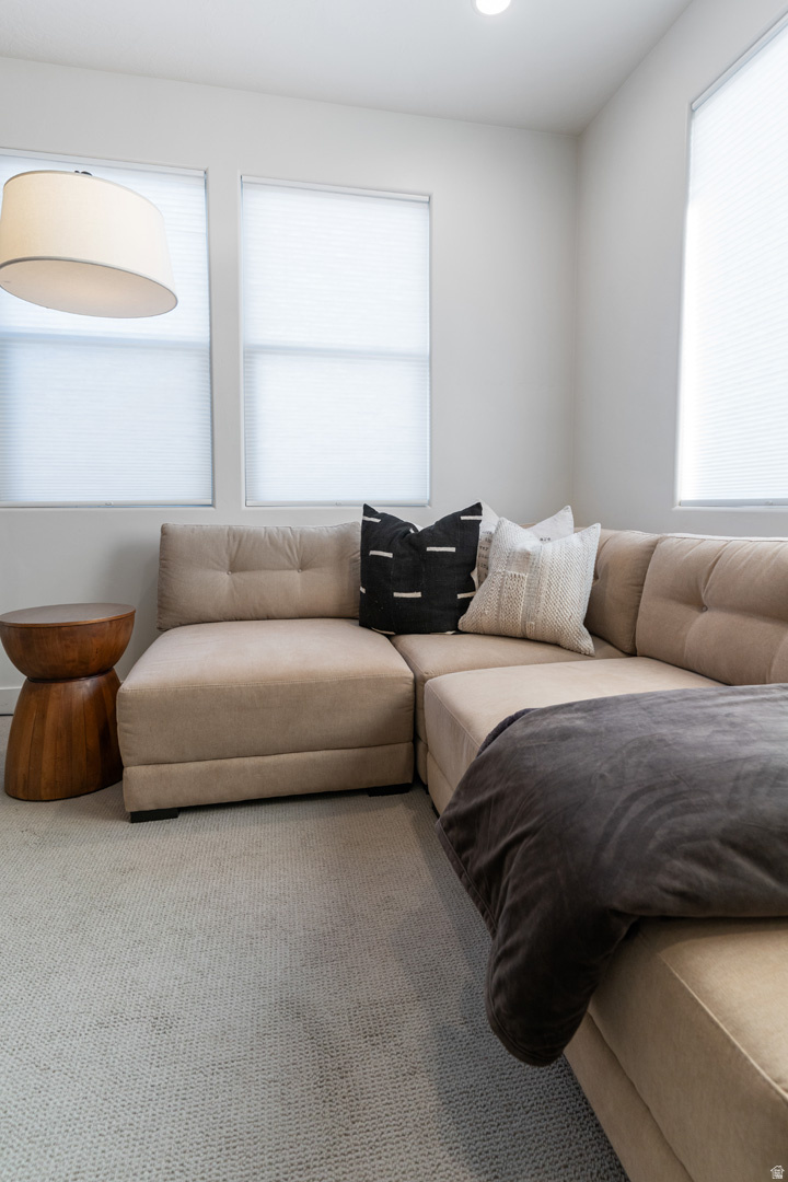 BRIO PH 3D - Residential