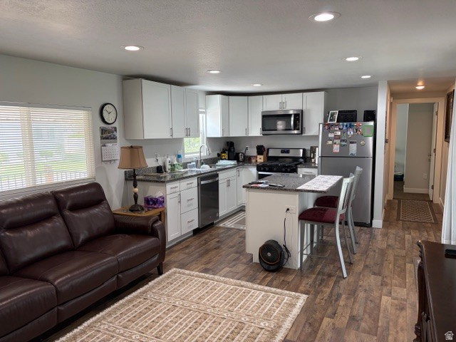 MONTE VISTA MHC - Residential