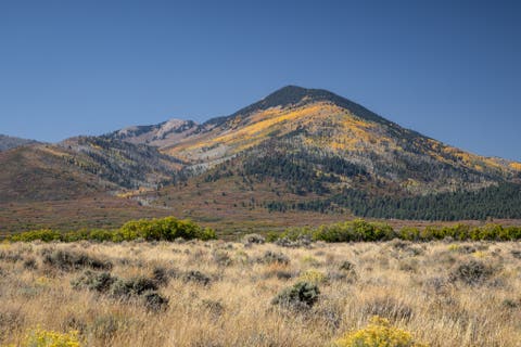 Vacant Land For Sale - 121 E Deer Creek Rd #10<br/> La Sal, UT 84530