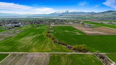 Vacant Land For Sale - 165 W 200<br/> Newton, UT 84327