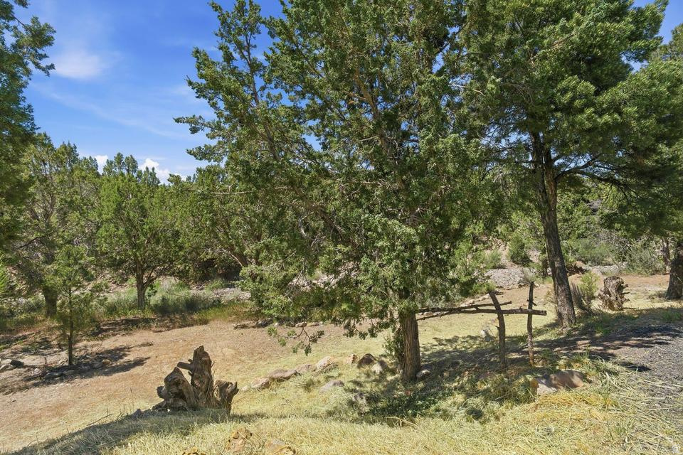 DIXIE DEER EST - Residential