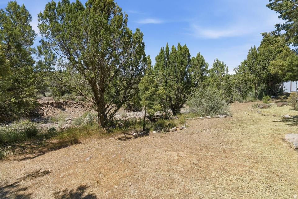 DIXIE DEER EST - Residential
