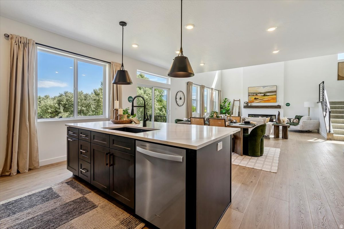 NORTH LAKE MEADOWS - Residential