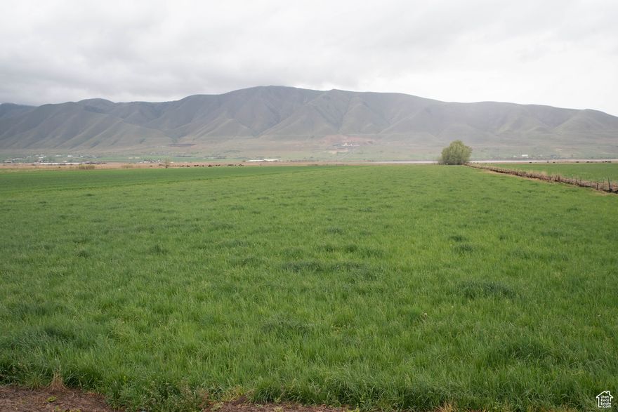 Build your dream home and farm. Nearly 51 acres of farm ground with 22 shares of Strawberry Irrigation Water.  This property has a cement ditch flood irrigation system. Approximately 24 acres are being farmed and the other 27 acres are used as pasture ground. There is a well water right on the property (51-2989).