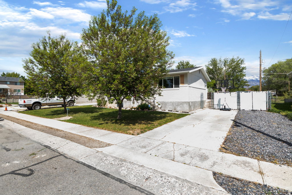 STEWART - Residential