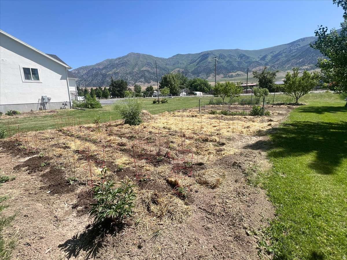 NORTH SUNSET MEADOWS SUBDIVISION - Residential