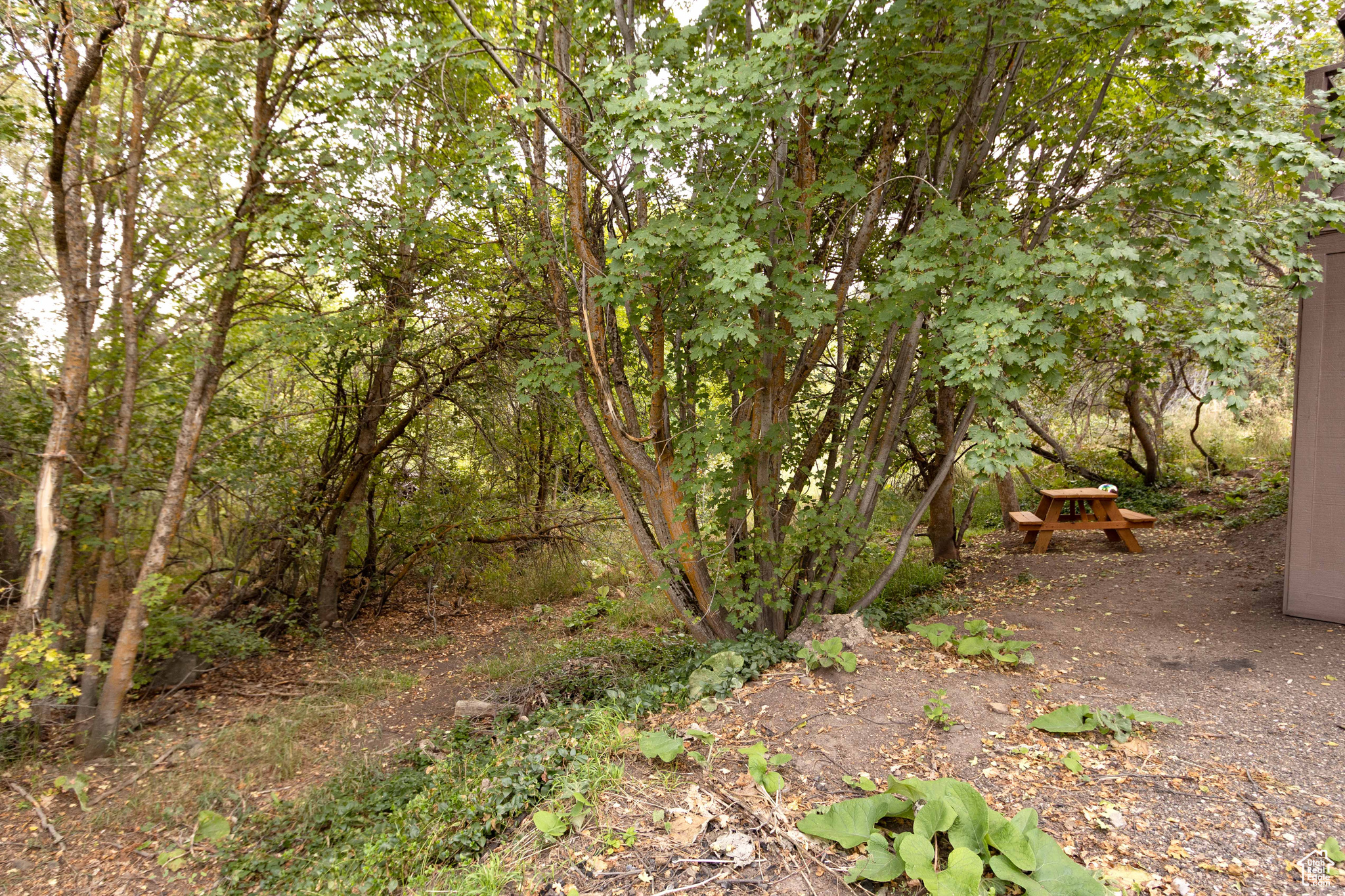 SILVER BELL ESTATES - Residential