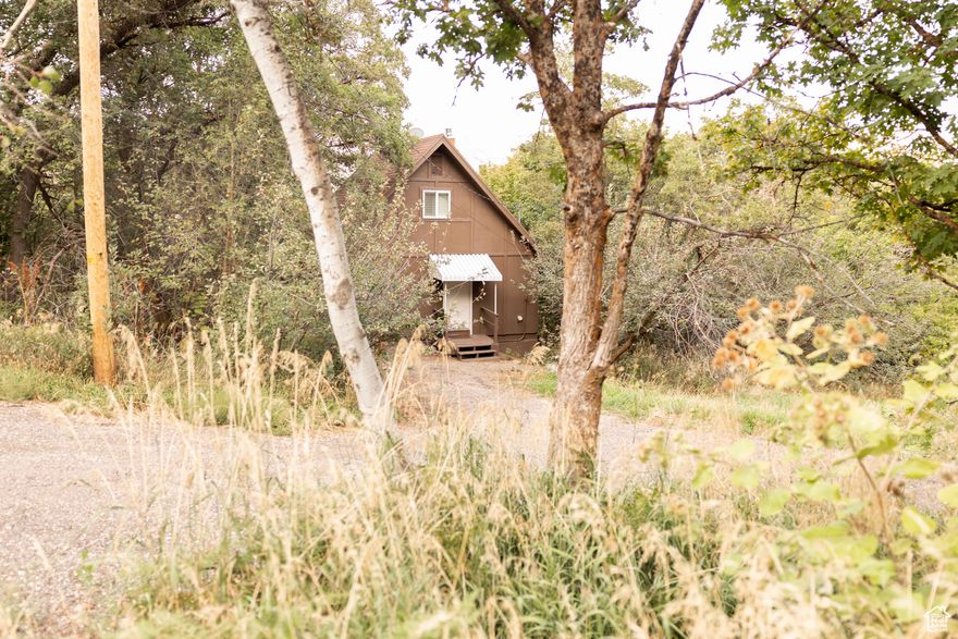 Imagine going to your oasis just by coming home! Situated near year-round recreation and outdoor activity. Skiing, hiking, boating. Rivers, lakes, parks, mountains. Nestled in the heart of Eden this charming home offers the ideal blend of mountain serenity and modern convenience. Located a short walk from Nordic Valley ski resort. This beautiful and secluded property has scrub oak and a stream running through it. Amazing views from both decks and plenty of shaded areas around the home for relaxation. Meander down to your private picnic area, explore your 1-acre+ lot with a magical garden of trees, and imagine the possibilities. Live, work, play & relax from the comforts of home in Eden!