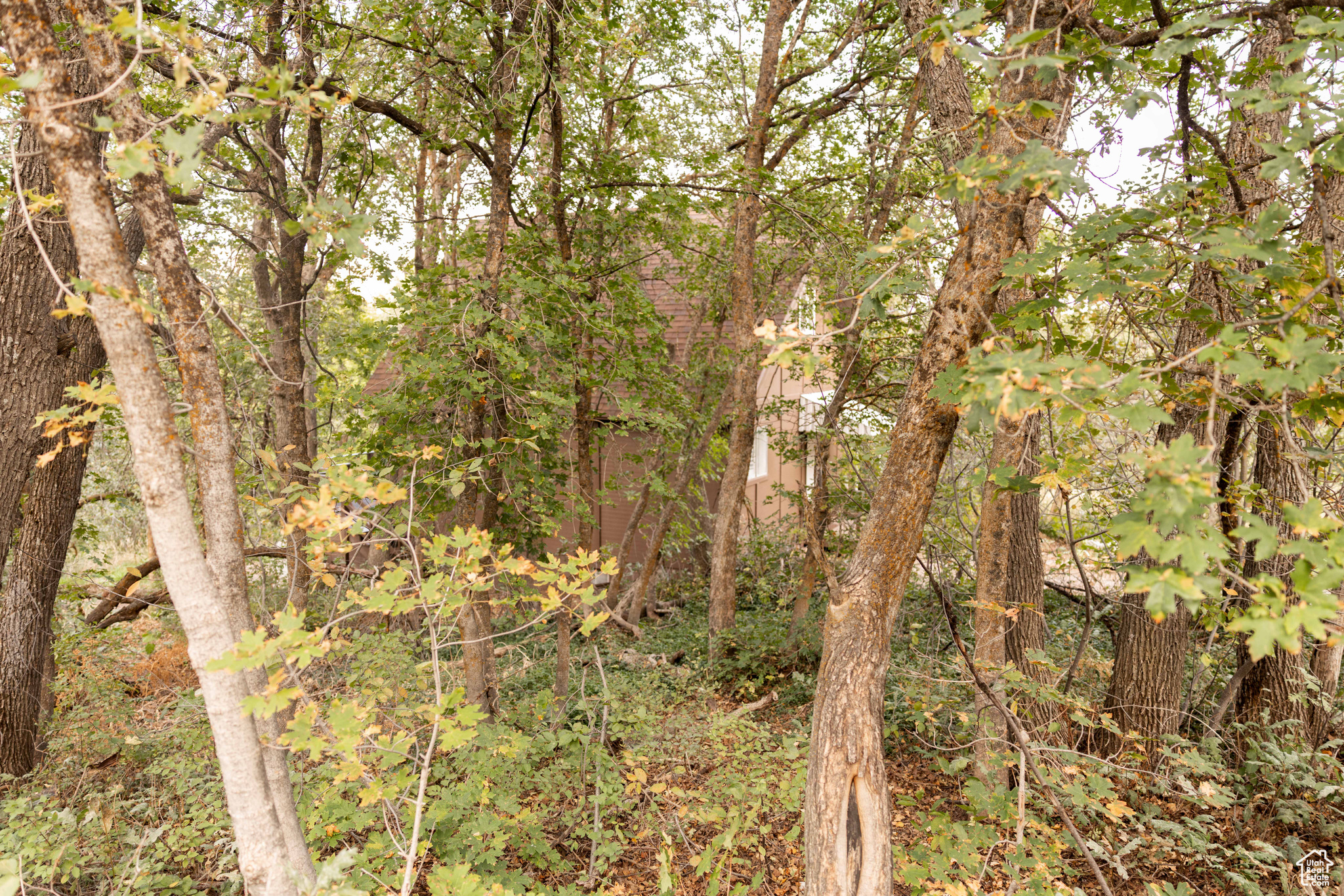 SILVER BELL ESTATES - Residential