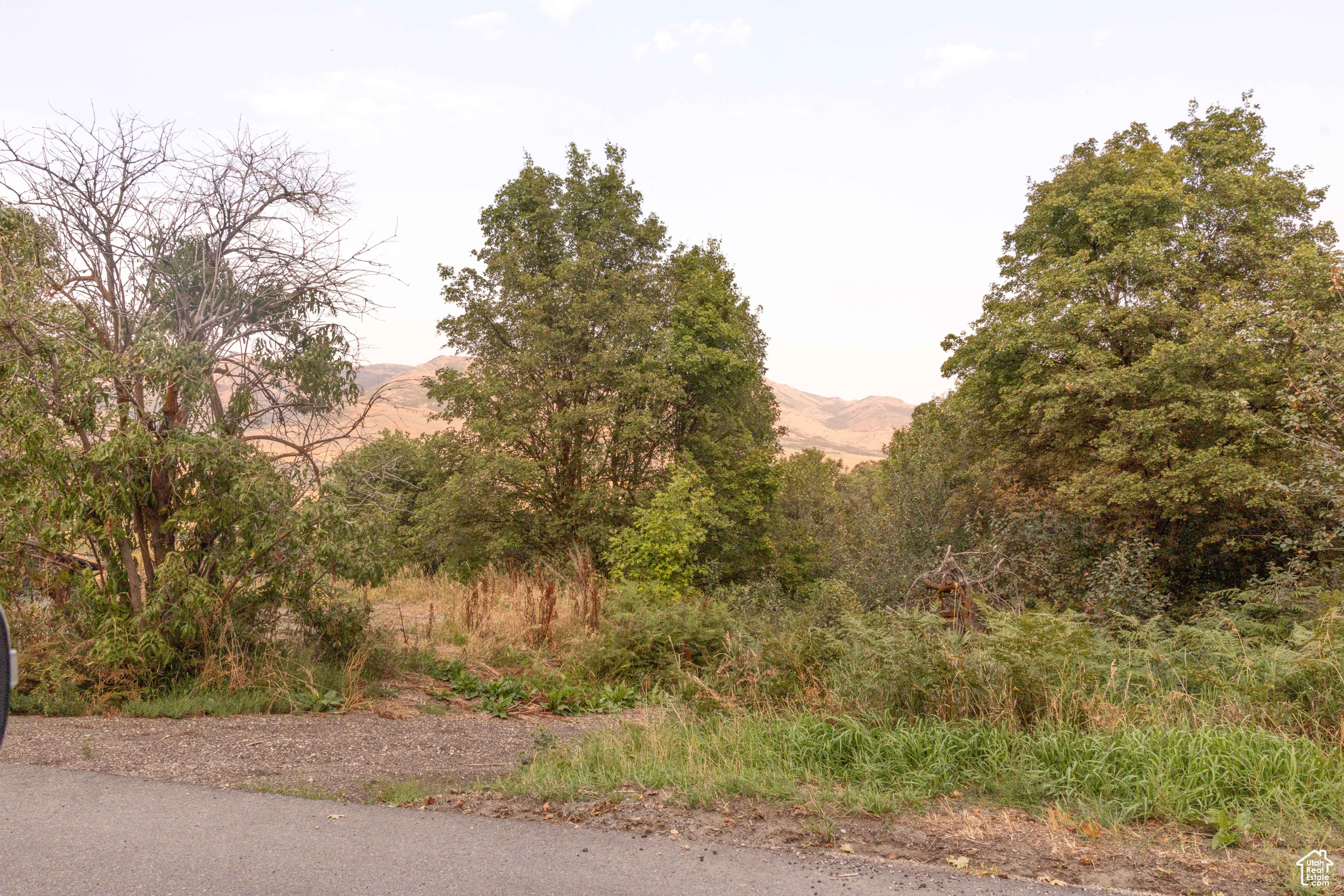 SILVER BELL ESTATES - Residential
