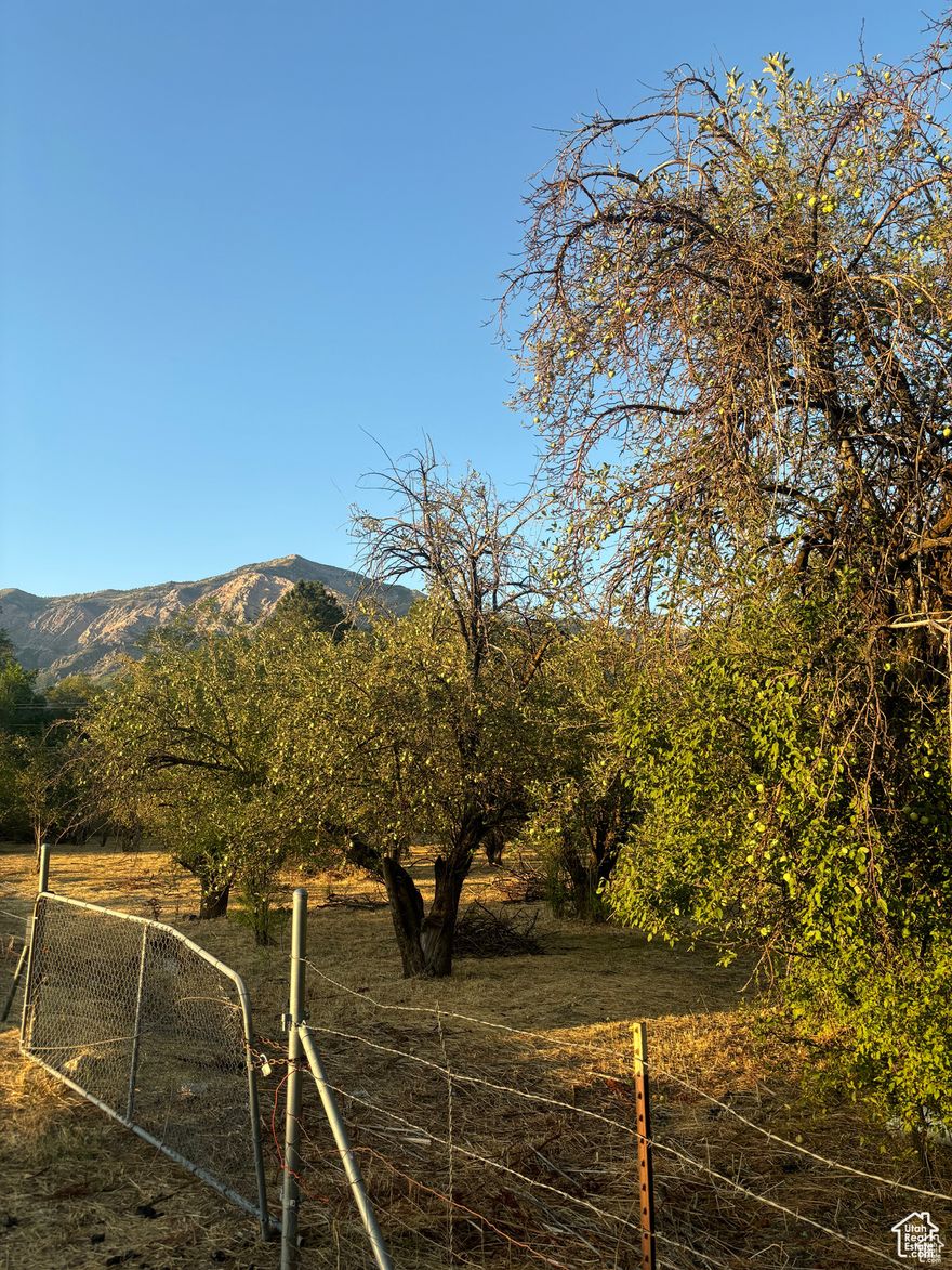 Discover the perfect blend of charm and stunning natural beauty with this rare raw land opportunity in Pleasant View. Situated on a corner lot, this former apple orchard offers panoramic, unobstructed views of majestic Ben Lomond Mountain-an ideal backdrop for your dream home, homestead, or future investment. This unique parcel features mature apple trees that give it character and history, while the .97 acre provides flexibility for development. A secondary water connection is already on the property, making it easier to begin your vision. All other utilities are nearby but not currently connected, giving you a clean slate to build exactly what you want.