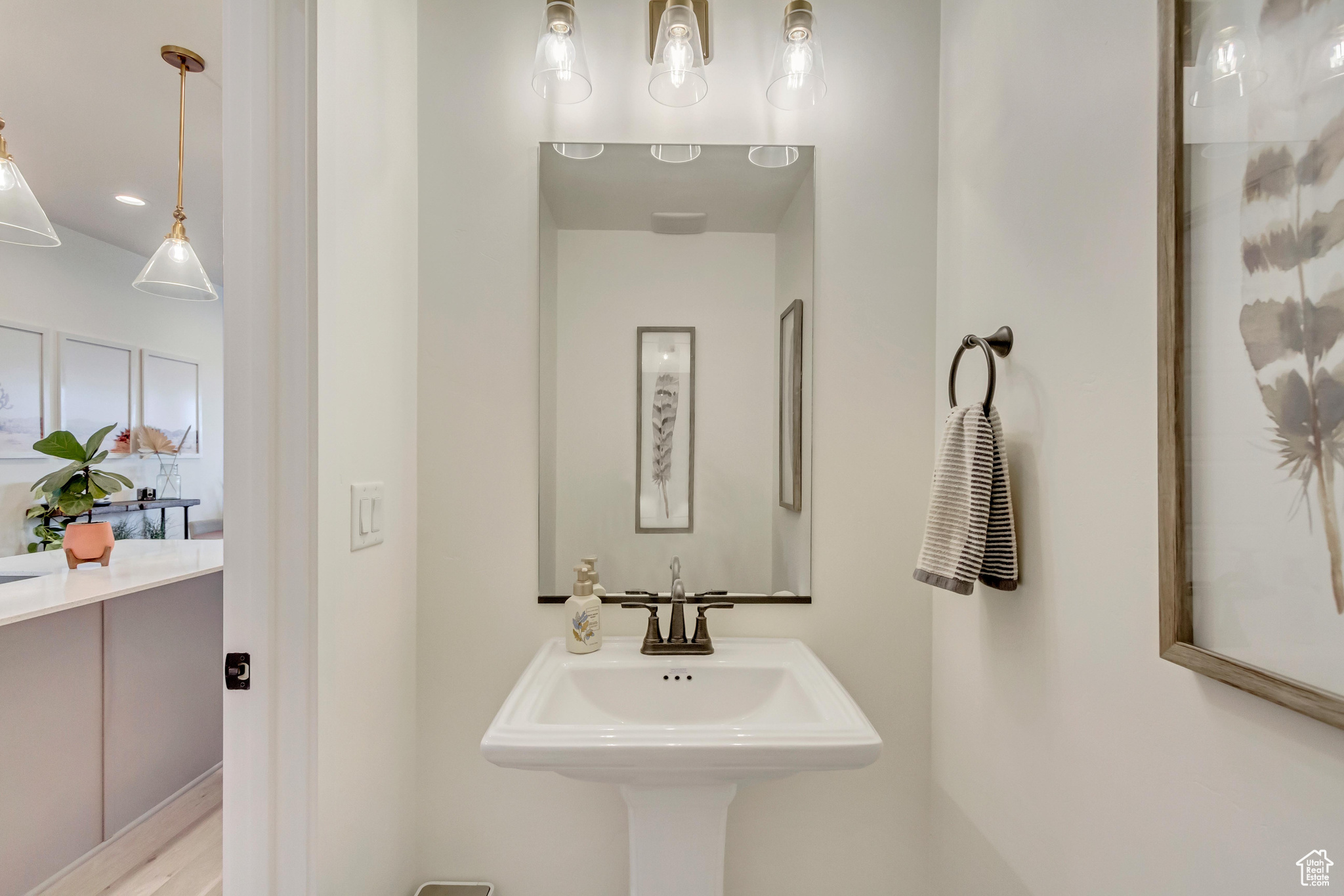5089 W Rambutan Way, South Jordan, Utah image 13