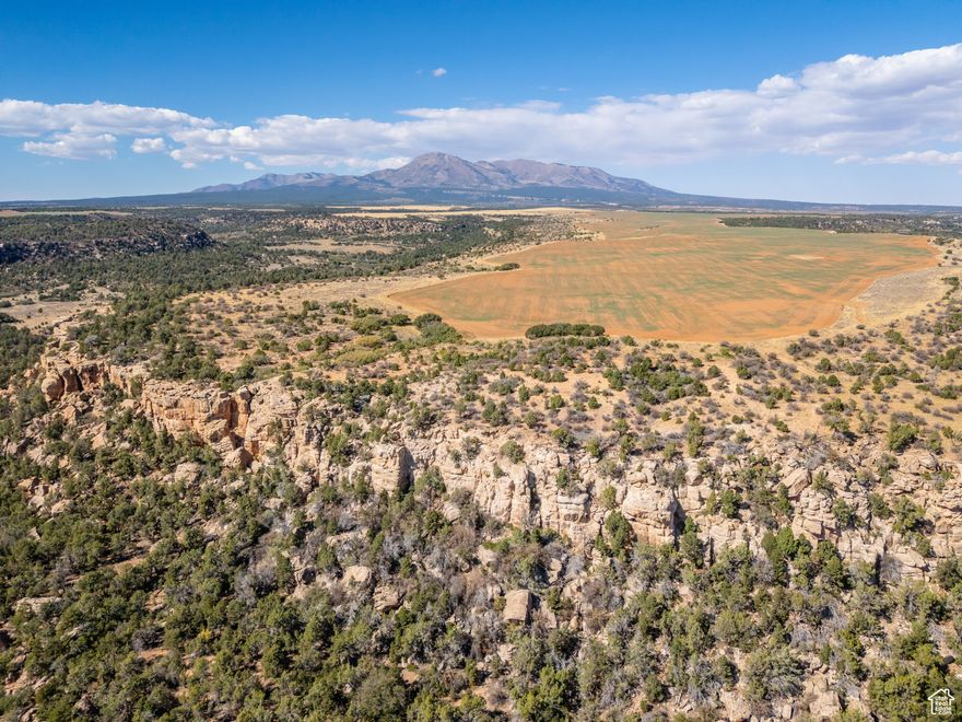 Three generations from a strong Utah family have owned and developed this beautiful property which holds large mule deer who enjoy the grain and hay production. The ranch flourishes with its agricultural zoning which will entitle the new owner to build a lodge with additional recreational elements. Wake up to clean air, clear blue skies, and views of the nearby Abajo Mountains and access to many destinations throughout southeast Utah and northern Arizona. Located between Monticello and Blanding, Utah. Monticello holds the intersection of Utah Highways 191 and 491. Highway 191 connects Moab, Utah and Monument Valley (Utah/ Arizona) in a North-South direction. Highway 491 connects Monticello to Cortez, Colorado in a West-East direction. Includes San Juan County, UT parcel #'s 35S23E112400, 35S23E126000, 35S23E130600, 35S23E140000, 35S24E186000, 35S24E193000. All information herein was obtained from seller and county records, is deemed reliable but is not guaranteed. Buyer is responsible to verify all listing information, including square feet/acreage, to buyer's own satisfaction.