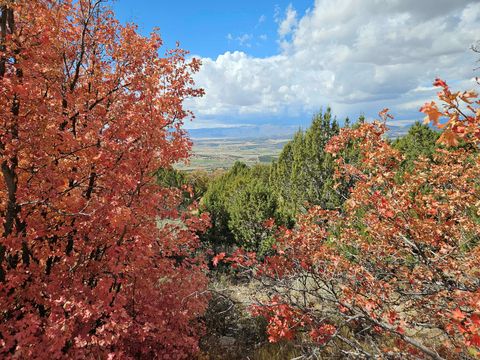 Vacant Land For Sale - 30 E Elk Springs Dr #30<br/> Sanpete County, Fairview, UT 84629